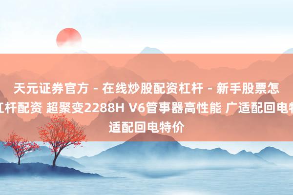 天元证券官方 - 在线炒股配资杠杆 - 新手股票怎么杠杆配资 超聚变2288H V6管事器高性能 广适配回电特价