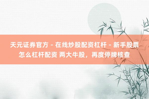 天元证券官方 - 在线炒股配资杠杆 - 新手股票怎么杠杆配资 两大牛股，再度停牌核查