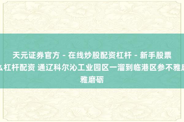 天元证券官方 - 在线炒股配资杠杆 - 新手股票怎么杠杆配资 通辽科尔沁工业园区一溜到临港区参不雅磨砺