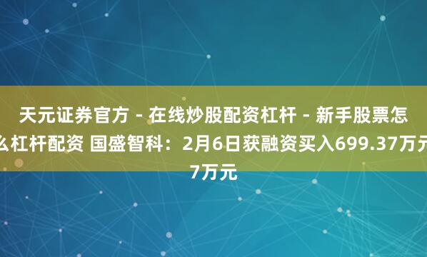 天元证券官方 - 在线炒股配资杠杆 - 新手股票怎么杠杆配资 国盛智科：2月6日获融资买入699.37万元
