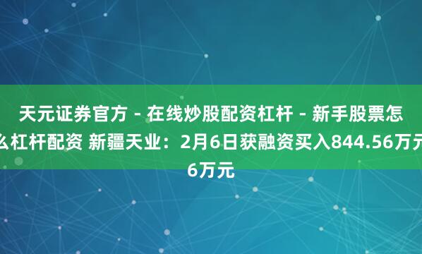 天元证券官方 - 在线炒股配资杠杆 - 新手股票怎么杠杆配资 新疆天业：2月6日获融资买入844.56万元